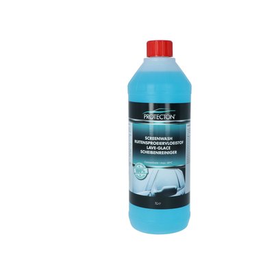 Protecton Prot Ruitenspr Antivr. Conc -40 1Lt (8711293464043)
