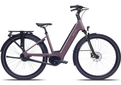 AERES Antwerp AP paars L/54 L/54 2027 (5400928713771)