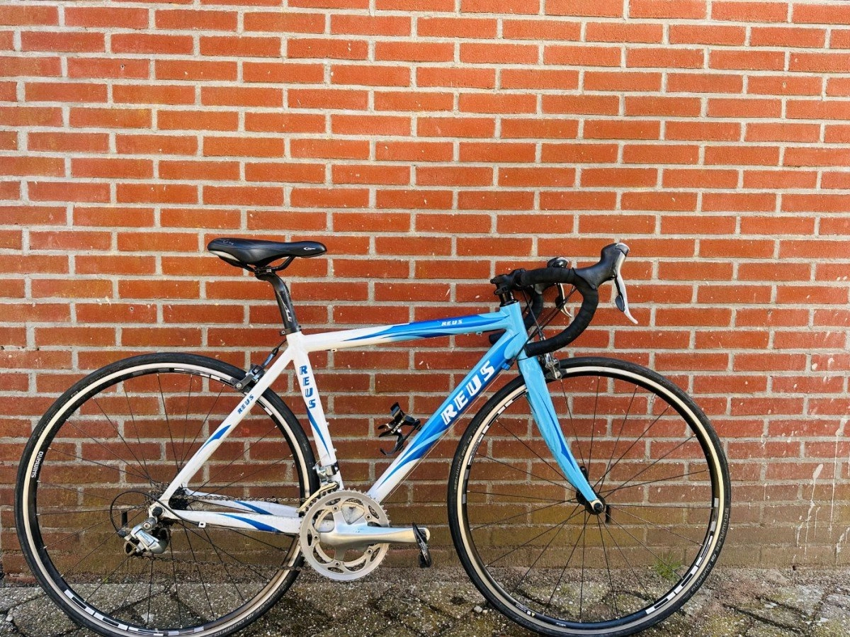 Reus race licht blauw (F.33744)