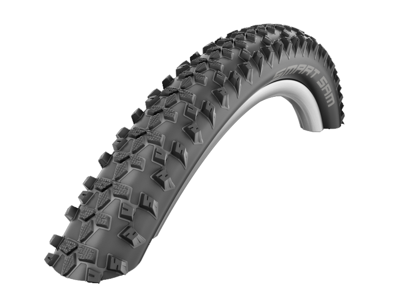 Schwalbe Bub 26x210 sc 54-559 smart sam zw (4026495795562)