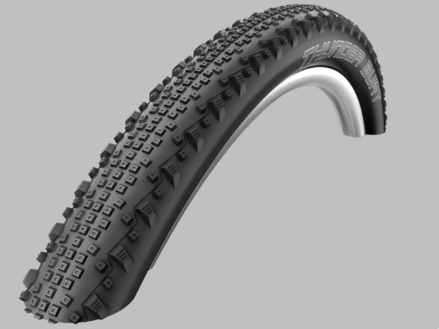 Schwalbe Bub 27.5x210 sc 54-584 thunder burt tle ss zw vw (4026495748056)