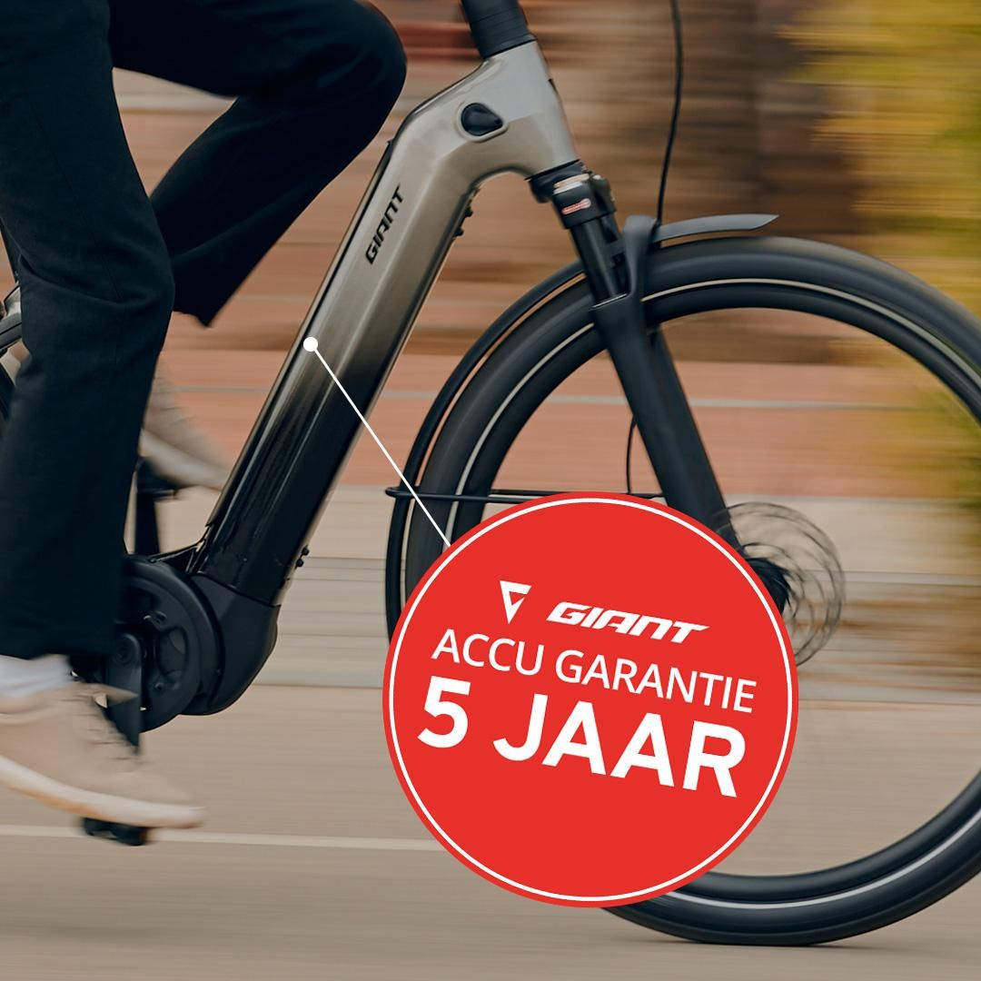 Op al deze modellen