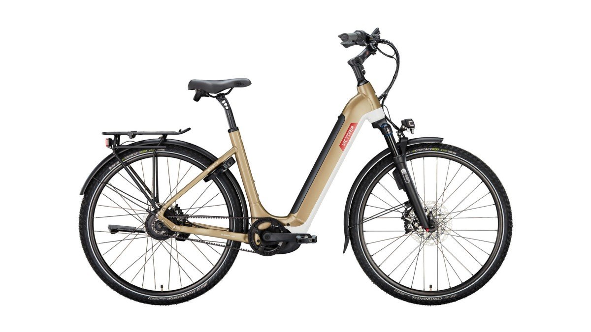 VICTORIA MANOC 7 Dames Cedar Grey 54cm 2025 (4251971150997)