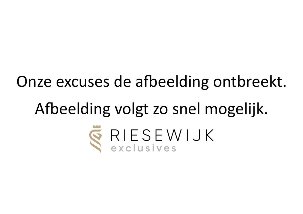 Riese&müller R&M Ombouwset voor Nyon (VBK0372) (2181006635309)