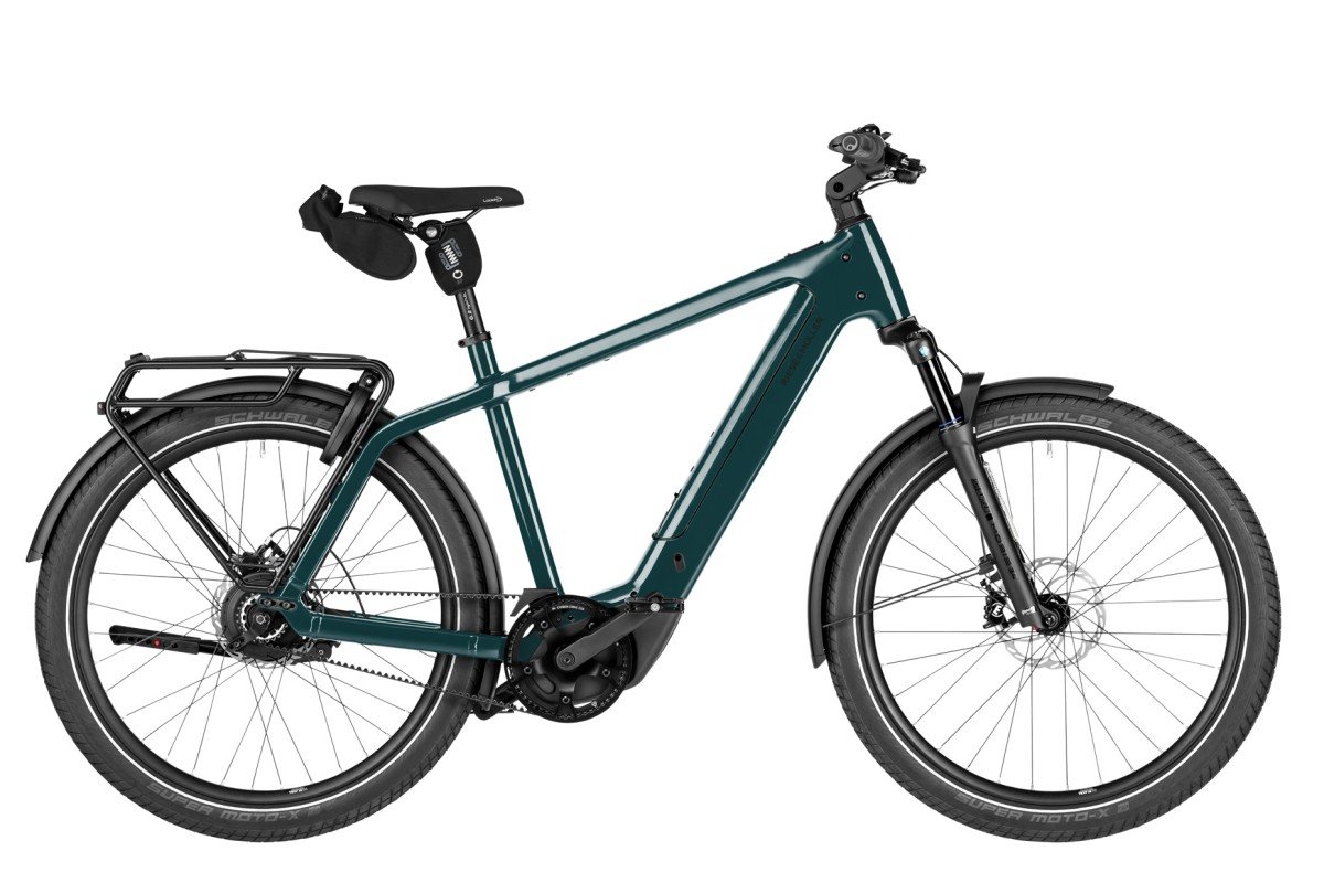 Riese und müller RIESE UND MÜLLER Charger5 vario Pine 49cm ch5 49cm 49cm ch5 2026 (4070477000649)