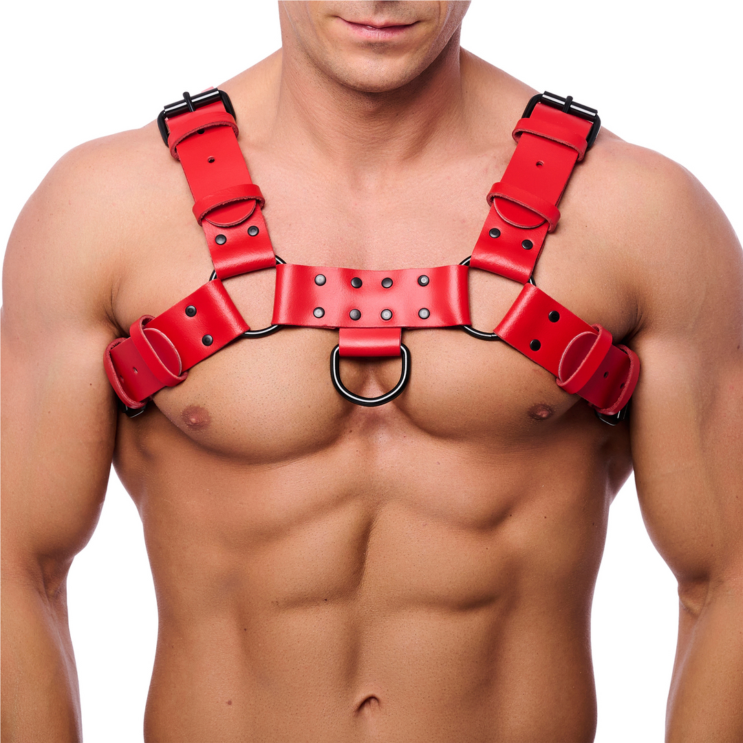 Red leather Bulldog Leren Harnas - S/M - Rood (3662811692354)