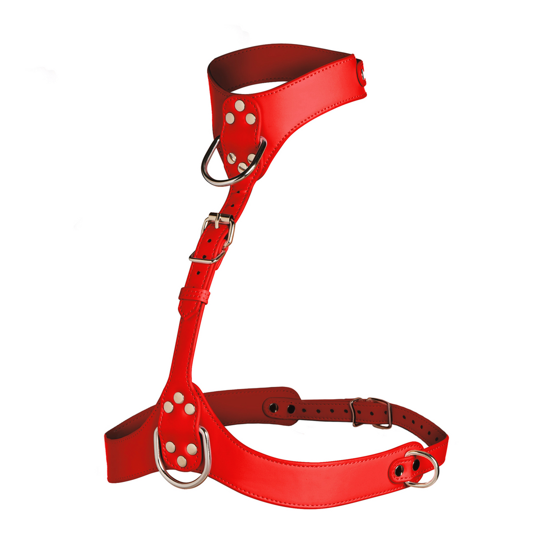 Xr brands Vixen - Vrouwelijke Borstharnas - Rood (848518058379)