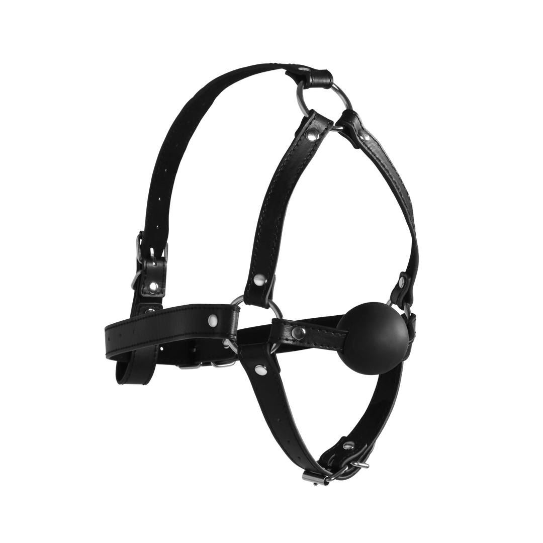 Ouch! by shots Hoofdharnas met Solid Ball Gag - Zwart (8714273050922)