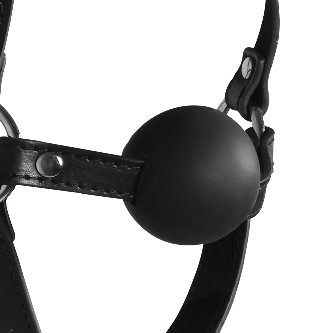 Ouch! by shots Hoofdharnas met Solid Ball Gag - Zwart (8714273050922)